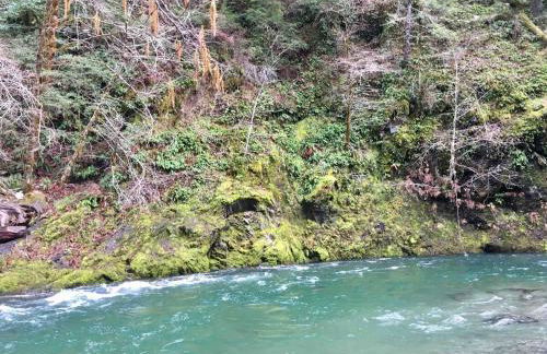 Beautiful Ocean View Cabin and Hot Tub! - Foto 77