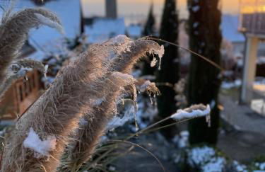 Ferienwohnung am Höhrenberg - Foto 28