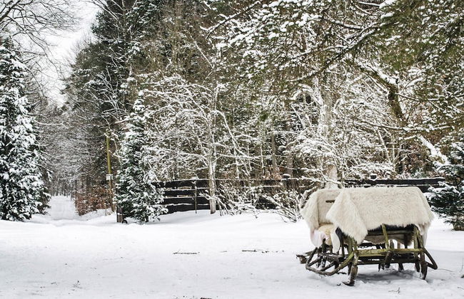 Comfortable Holiday Home in the Middle of a Forest - Photo 33