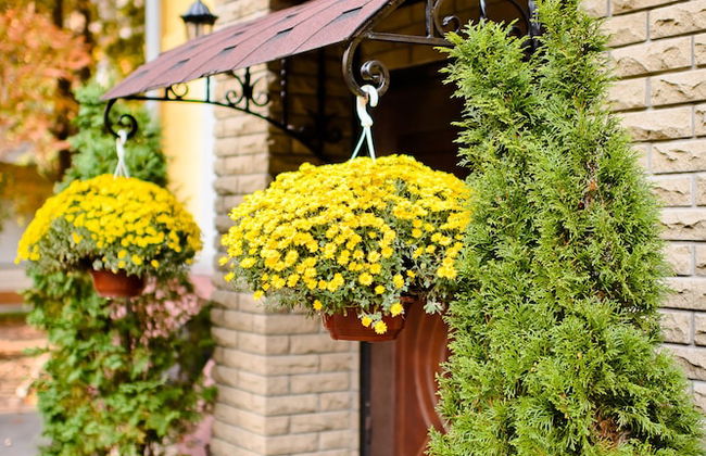 Sherborne ApartHotel - Foto 30