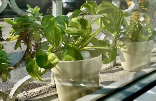 The Small White House In Milan - Foto 26