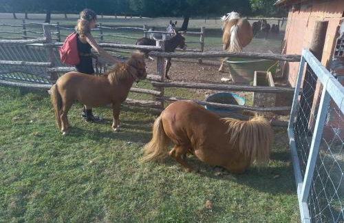 eco nature, gite à la ferme - Foto 26