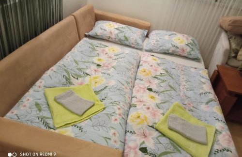 Yellow Rose - Foto 30