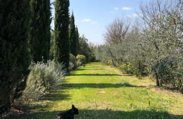 Villa Elena Tuscany - Pool & Garden Arezzo - IHH - Foto 23