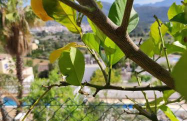 Privé vakantiewoning "Casa Stirio" met zwembad regio calpé-jalon - Foto 31