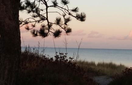 Wormshöft 16 - Foto 28