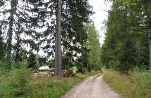 Kleines Haus am Wald - Foto 11