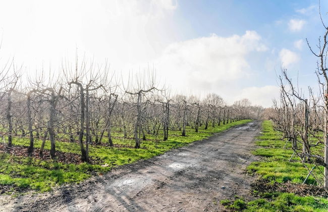 Heers Retreat With Sauna - Foto 41