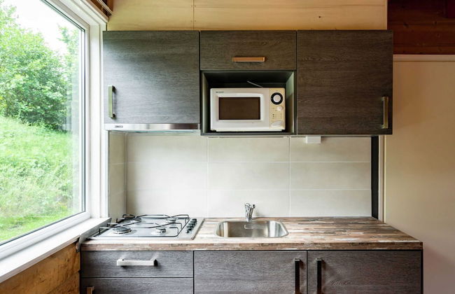 Detached Chalet in Tranquil Dutch Countryside - Photo 4