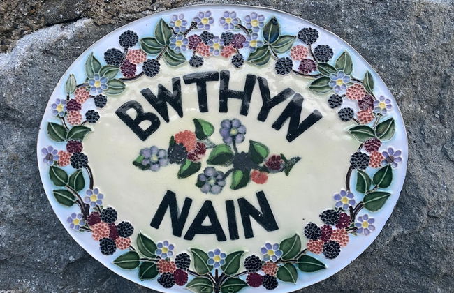 Beautiful Cottage Near Harlech With Ocean Views - Foto 19