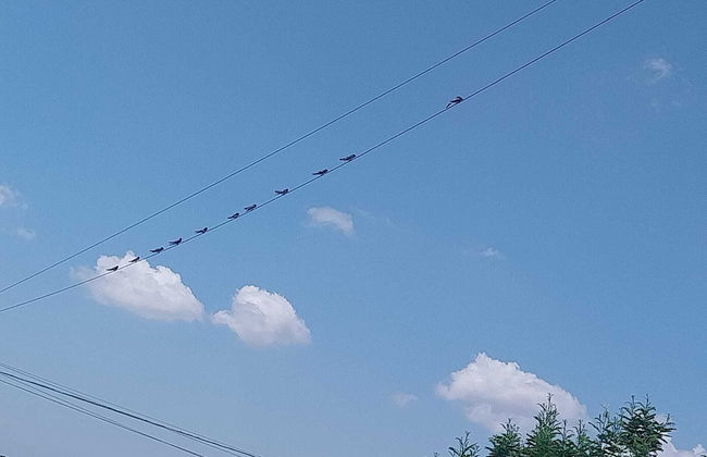 Agriturismo Laire Alberobello - Foto 36