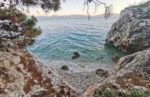 Apartmani "Allegro" - Foto 30