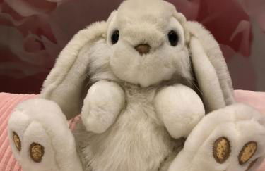 Pan Pan Le Lapin Aubagne-Cassis-Aix en Provence - Foto 25