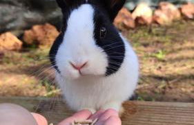 Villa Boeddu, relax tra mare e campagna - Foto 6