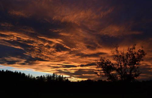 Pichler Roswitha - Foto 33