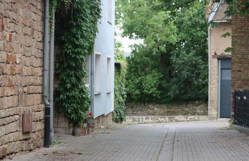 Ferienwohnung Weingut Kost - Foto 33