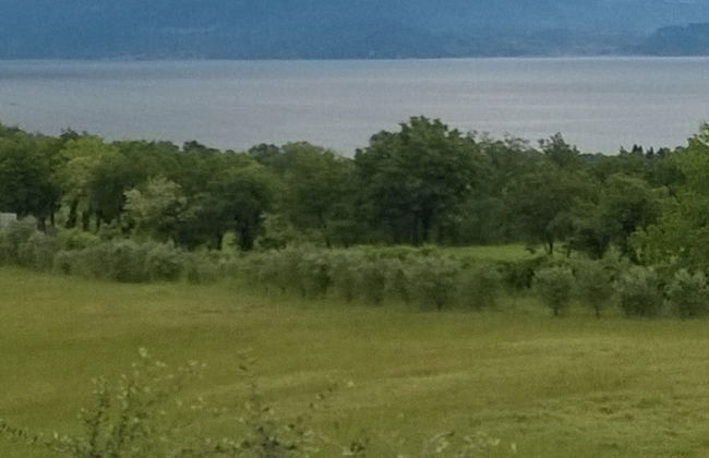 Farmhouse Paradiso - Foto 51