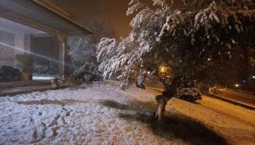 Il Poggio Dei Pettirossi - Foto 4