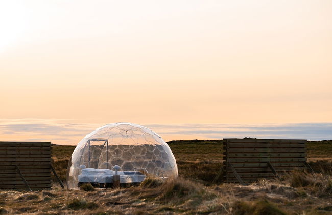 Aurora Igloo South - Foto 49