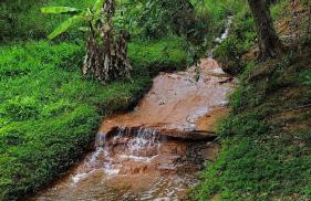 Sítio incrível 4Q c/ piscina e área de churrasco - Foto 8
