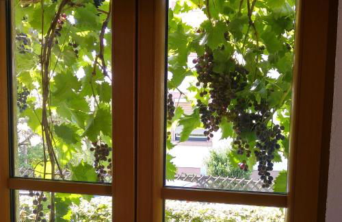 Ferienwohnung Strata Montana - Foto 33