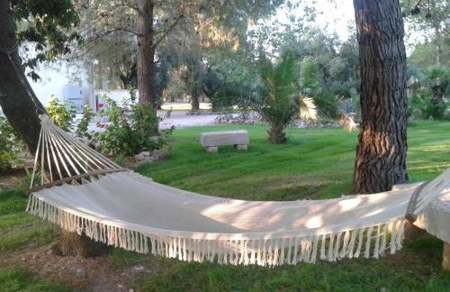 Tenuta La Spezia - Foto 28