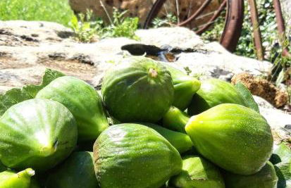 Giardini di Marzo - Foto 6