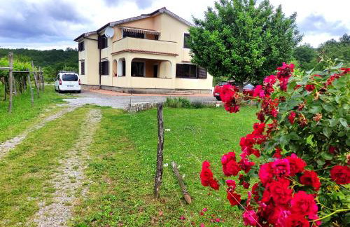 Apartmani Melia - Photo 2