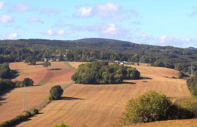 Holzchalet E - Foto 39