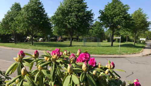 Schlei Idyll - Foto 4