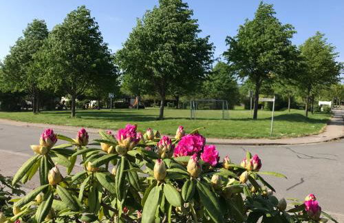 Schlei Idyll - Foto 4