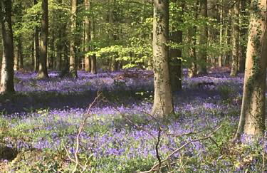 Seaside Stay - Foto 14