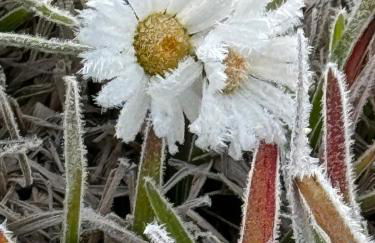 Le Cottage - Foto 34