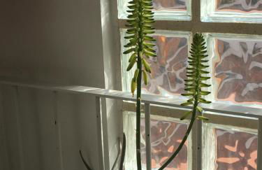 MÍ casa YOUR HOME - Photo 24