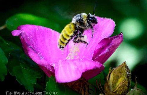 Gorgeous Tiny House with Indoor and Outdoor Lounging Space in Alabama - Foto 67
