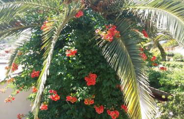 Alexandra Spingou Apartments - Foto 37