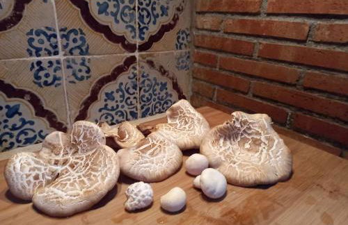 Casa della Nonna - Foto 47