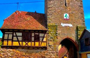 L'Etoile du Vignoble Meublé de Tourisme 4 étoiles au cœur d'un ranch alsacien sur la route des Vins - Climatisé - Foto 41