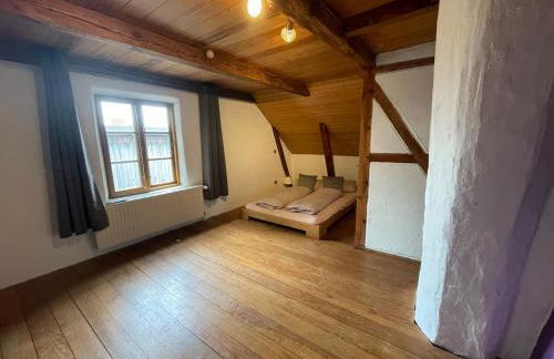 Deichliebe ÖKOlogisch - Foto 18