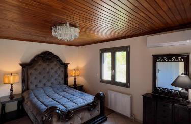 Entire Apartment 140m2 near Syvota and Parga - Foto 28