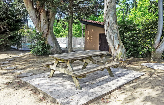 Paradise Océan - Photo 25