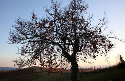 Villa Biancospino - luxury and private villa in Langhe - Foto 35