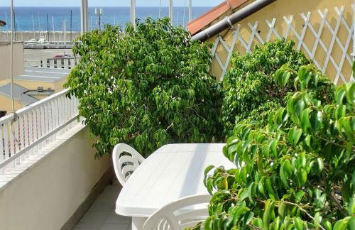 Seagulls, Elegance and Freedom - Foto 38