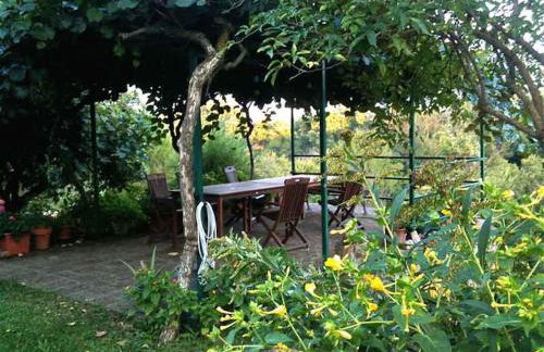 Podere Porcino - Foto 40