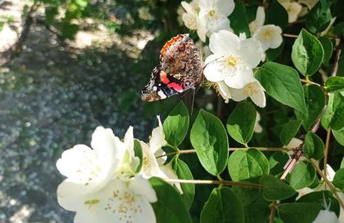 Arca dos Animais - Farming & SPA - Foto 66