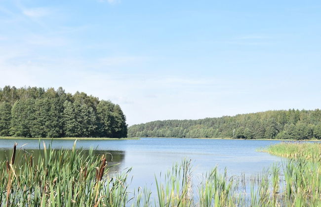 Holiday Home, Niesiolowice - Foto 9