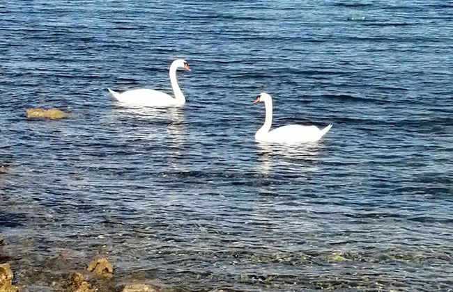 Detached House Miketa - Foto 23