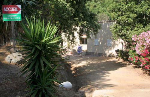 costa di sognu - Foto 23