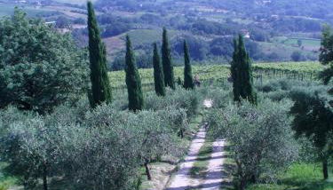 Casale Nido dell'Aquila - Foto 4