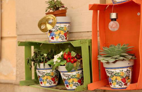 Doma Centro 5 - Foto 33